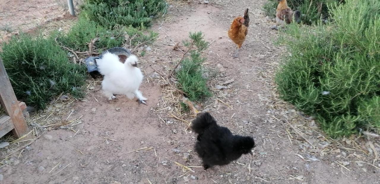 Casa Rural La Loma Nohales Zewnętrze zdjęcie